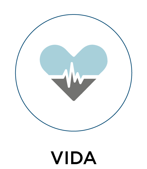 vida_icono